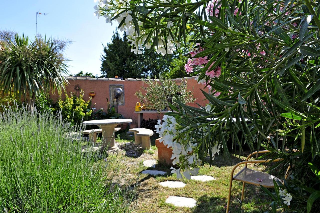 Maison Des Croisades Aigues-Mortes Kültér fotó
